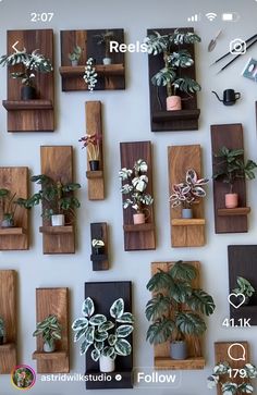 many different types of plants are arranged on the wall above each other, including houseplants and succulents