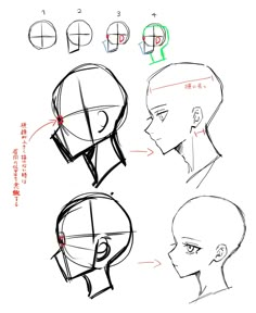 three different types of head shapes and their corresponding features are shown in this drawing lesson