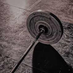 a black and white photo of an object on the ground with its shadow cast onto it