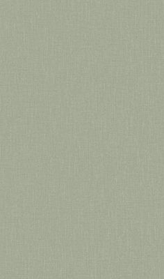 a plain light green fabric background