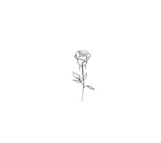 a drawing of a single rose on a white background