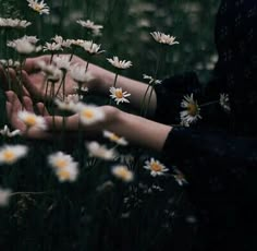 two hands touching each other with daisies in the foreground