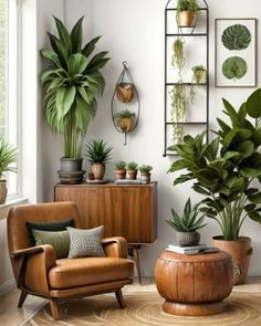 a living room filled with lots of potted plants next to a wall mounted planter