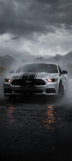 a white mustang in the fog with mountains in the background