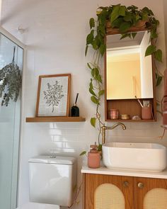 a white toilet sitting next to a bathroom sink under a mirror above a wooden cabinet