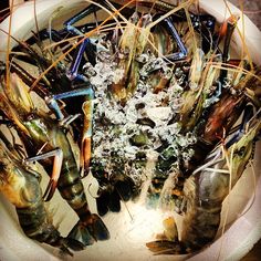 a bowl filled with lots of different types of seafood