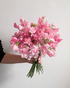 a woman holding a bouquet of pink flowers