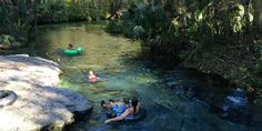 three people float down a river in the middle of some trees and rocks, while another person floats on an inflatable raft