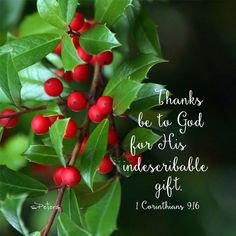 a holly branch with red berries and the words, thanks be to god for his indescribable gift