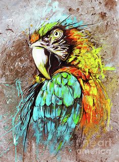 a painting of a colorful parrot on a gray background