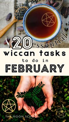 a cup of tea and some herbs with the words, 20 essential vegan tasks to do in february