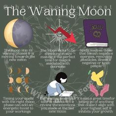 Zodiac Planets, Moon Madness, Moon Activities, Lunar Witch, Moon Time, Moon Astrology, Teen Witch