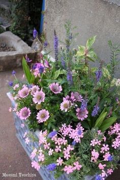 a container filled with lots of different types of flowers next to a wall and sidewalk