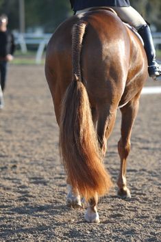 a person riding on the back of a brown horse