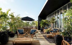 an outdoor patio with wicker furniture and potted plants