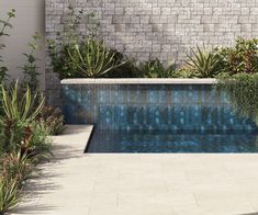 an empty swimming pool surrounded by greenery and brick wall with water running down it