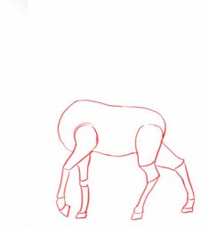 how to draw a deer step by step