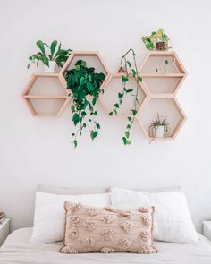 three hexagonal shelves on the wall above a bed