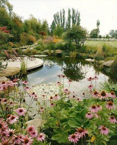 a pond surrounded by lots of flowers and greenery