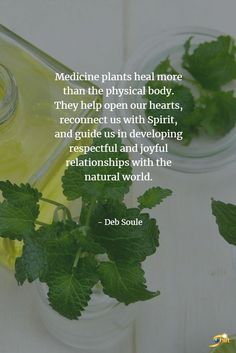 Natural Medicine Quotes, Natural Healing Quotes, Medicine Plants, Hemp Oil Benefits, Medicine Quotes, Plant Medicine, Herbal Apothecary, Nature Spirits, Herbal Healing