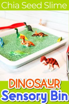 there is a tray with dinosaurs on it and the words, dinosaur sensory bin