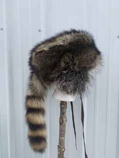 Nebraska raccoon fur hat. Made here in our shop. Each hat is made to order.Raccoons are caught in Nebraska by nuisance trappers and are shipped to us where we tan and make into items. We have found that the Midwest raccoons have the best color and fur in the country. The hat is lined and has ear flaps that can be tied up. These are beautiful hats. Raccoon Hat Outfit, Raccoon Hat Aesthetic, Raccoon Hat, Knit Racoon Hat, Raccoon Accessories, Fur Trapper Hat, Kinds Of Hats, Hat Aesthetic, Trapper Hats