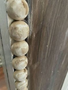 a bunch of mushrooms that are on the side of a door