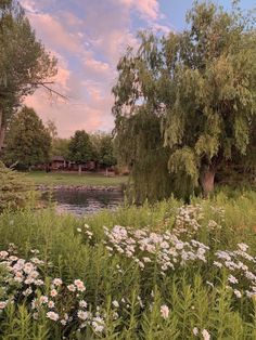 a pond surrounded by trees and wildflowers under a cloudy blue sky with white clouds