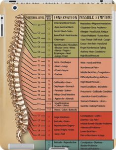 Nerve Anatomy, Cervical Disc, Sinus Problems, Spine Health, Human Body Anatomy, Sinus Infection, Migraine Headaches