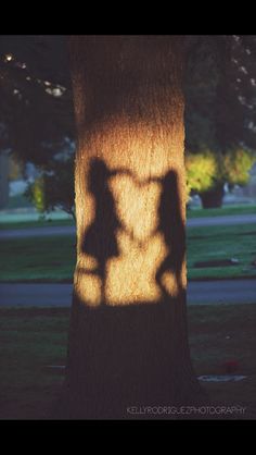 the shadow of two people holding hands on a tree in front of a park area