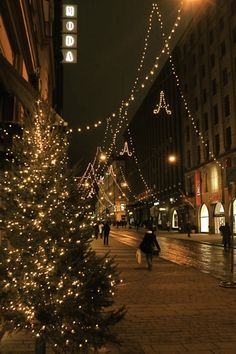 a christmas tree is lit up on the street