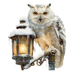 an owl perched on top of a lamp post covered in snow and ice with orange eyes