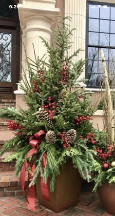 two potted plants with pine cones and red berries are on the front steps of a house