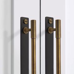 the door handles are brass in color and black on both sides, with white doors behind them