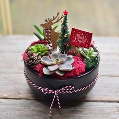 a small christmas planter with succulents and trees