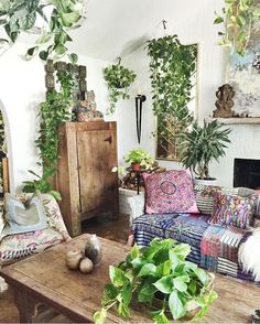 a living room filled with lots of plants and furniture