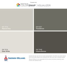 the color scheme for colorsnap visualizer is shown in gray, white and brown