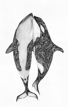 a drawing of two dolphins with their mouths open