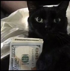 a black cat sitting on top of a bed next to a pile of money with green eyes