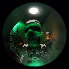 there is a green light in the dark with a skeleton and two skeletons on it