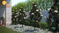 some white flowers bushes and trees in the grass on a sunny day with blue sky