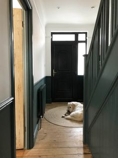 a dog laying on the floor in front of a black door and green paneled walls