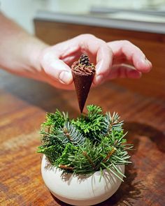 a person holding an object in their hand over a potted plant on a table