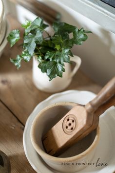 a wooden spatula sitting on top of a white plate next to a potted plant