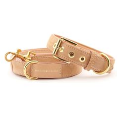 Suede Leather Dog Leash by William Walker - Coral Walker Dog, Tallest Dog, Leather Dog Leash, Pet Style, Dog Walker, Leather Gifts