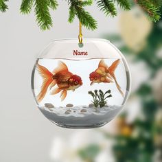 two goldfish in an ornament hanging from a christmas tree