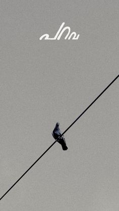 two birds sitting on an electric wire with the word om in the sky behind them