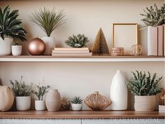 there are many potted plants on the shelves