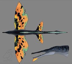 an artist's rendering of two fish with different colors and patterns on their wings