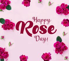 happy rose day with pink roses and green leaves